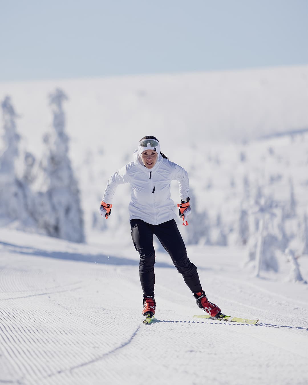 Cross country skier on the tracks in action