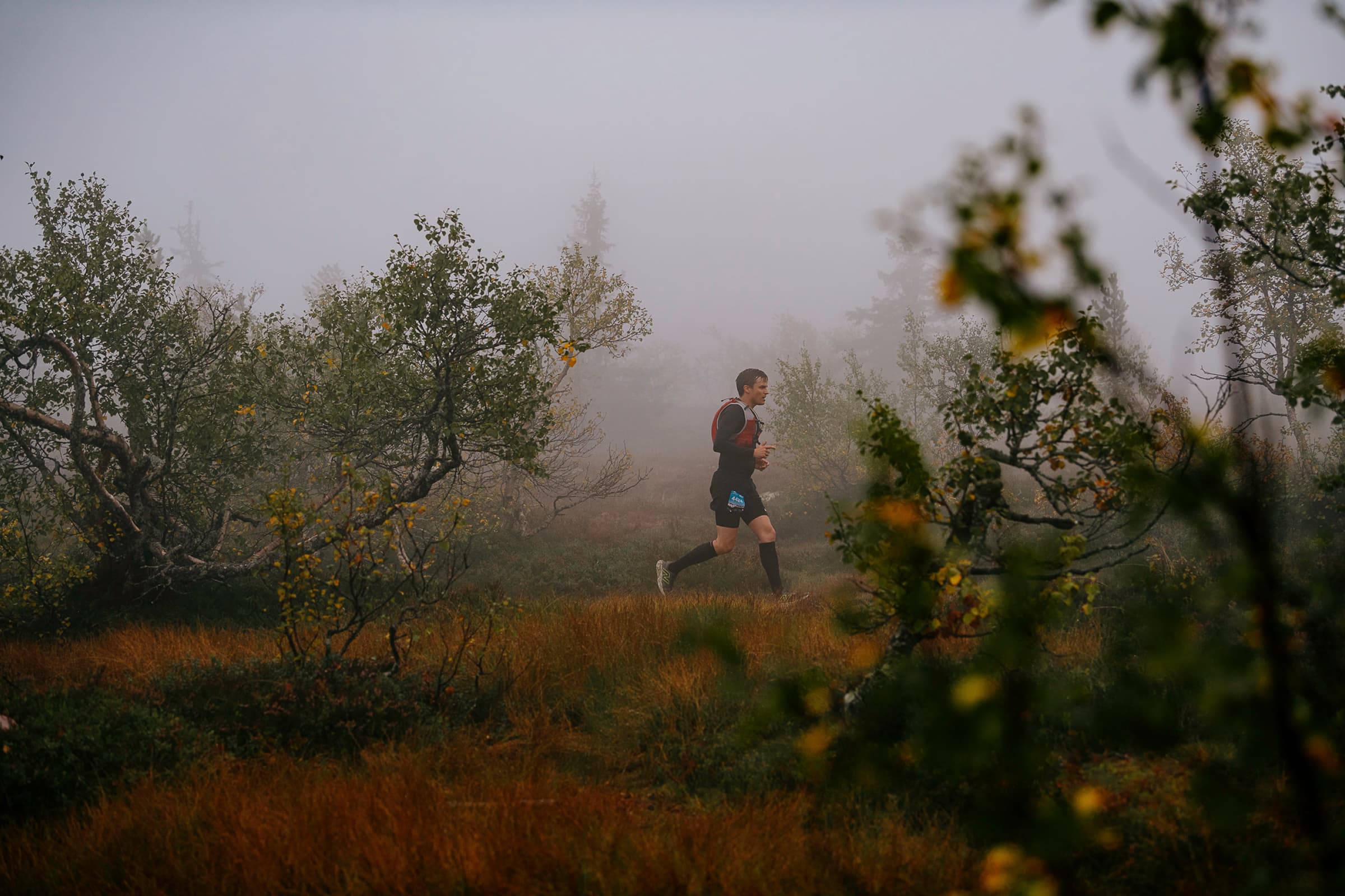 Person running through a foggy forest with sparse trees and autumn foliage, wearing athletic gear.