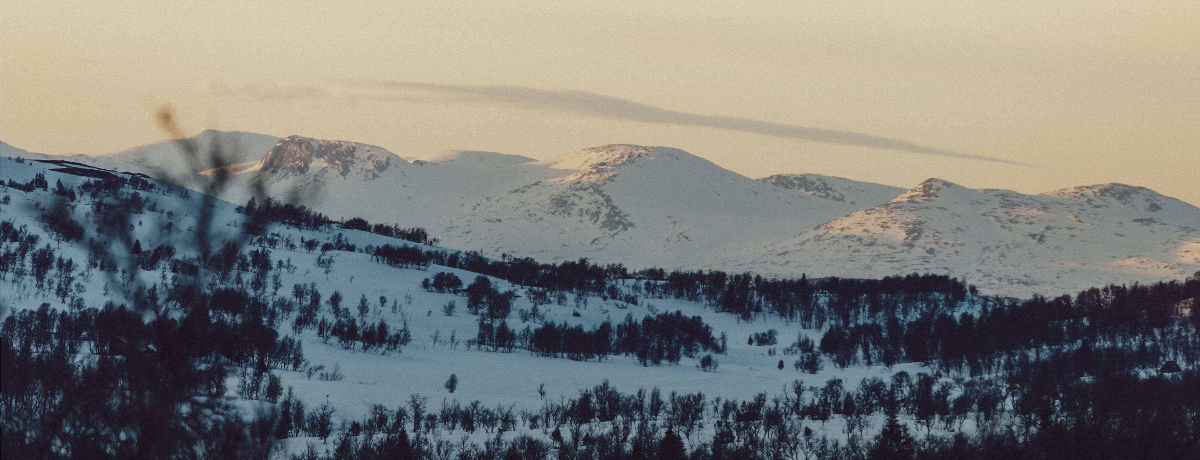 Snow-covered mountains under a soft evening sky, with sparse trees scattered across the landscape.